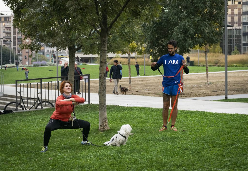 Dog Human Fitness @Home