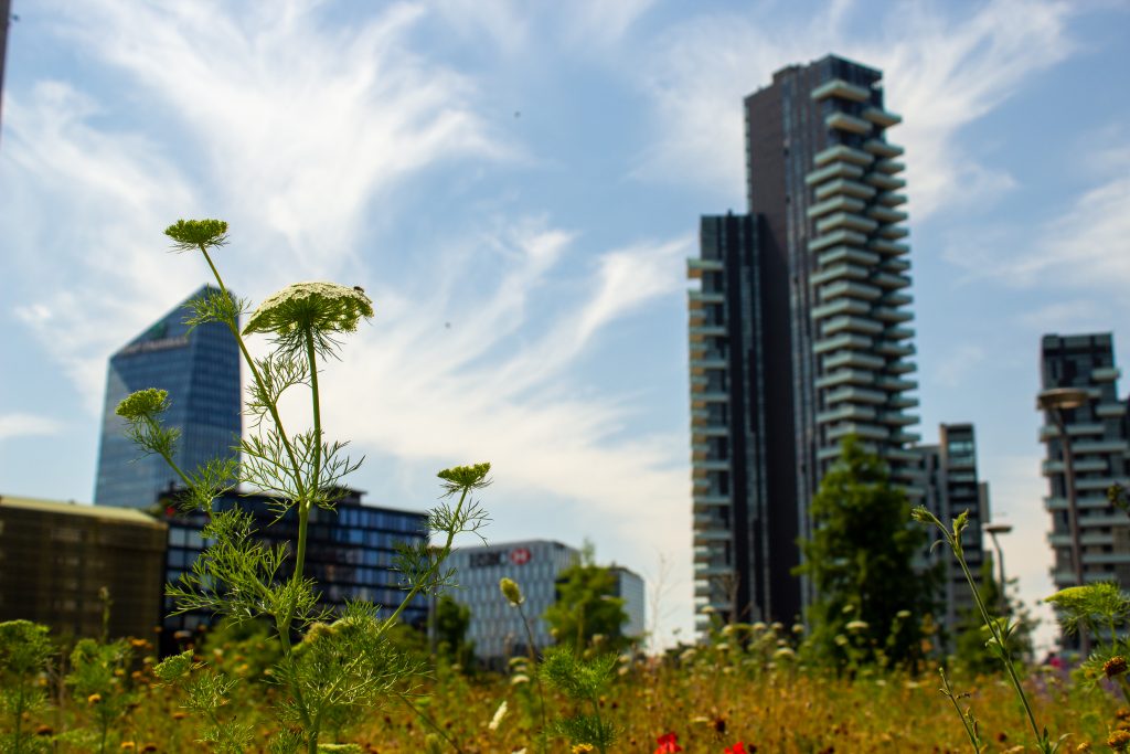 La Botanica di BAM: c’è sempre qualcosa di fiorito!