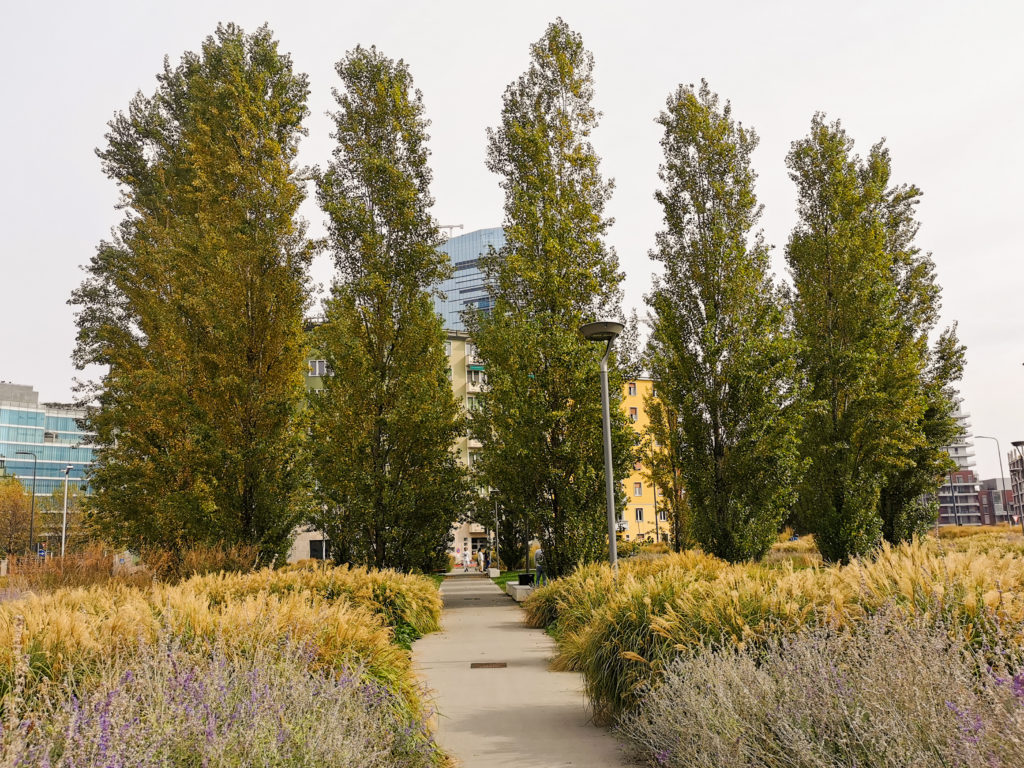 La botanica di BAM: la natura in movimento!