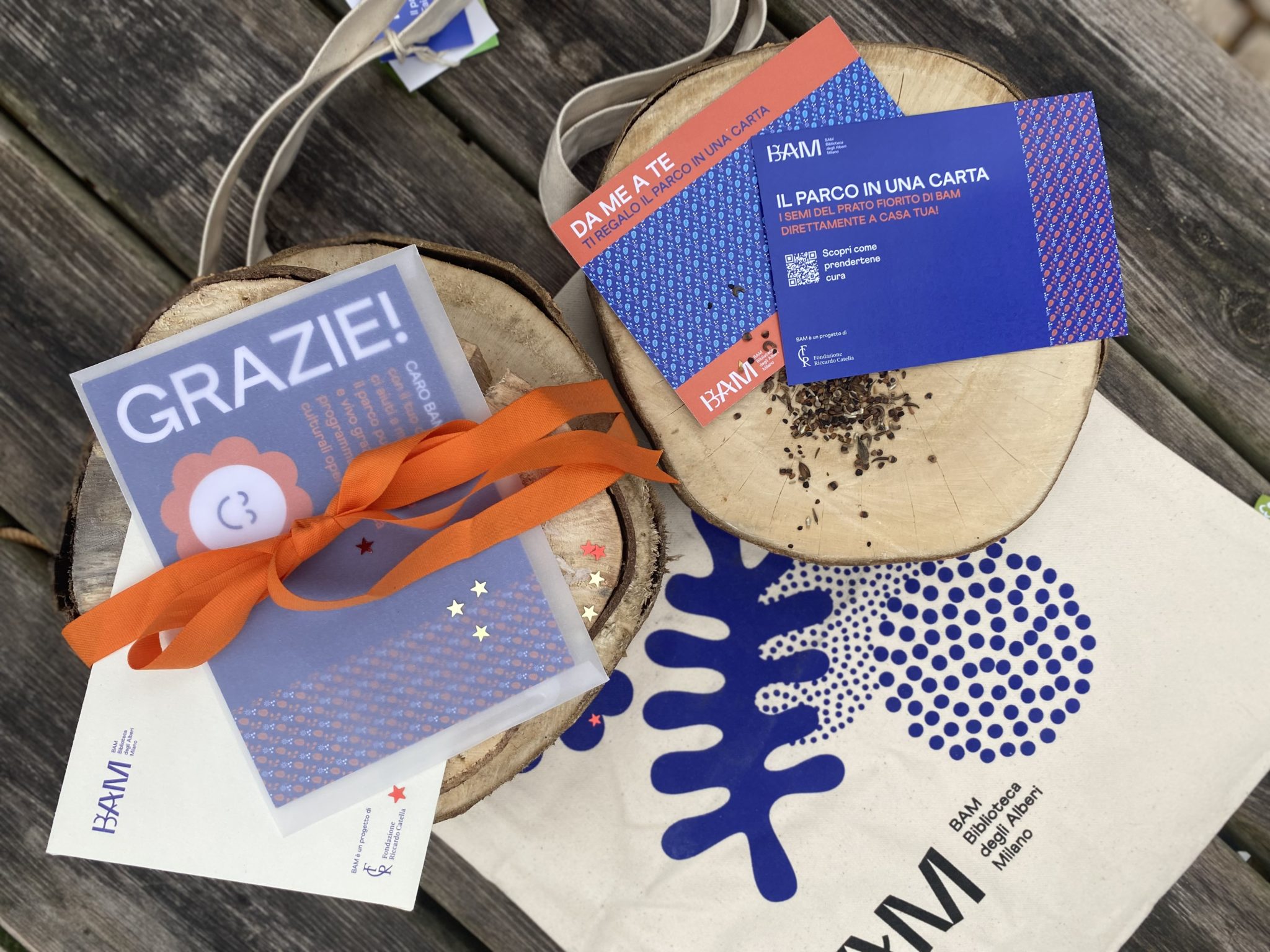 Benvenuto in BAM