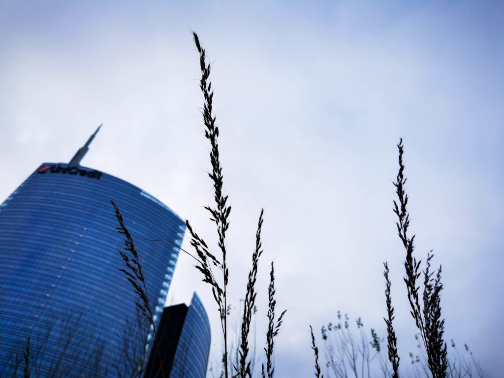 La Botanica di BAM: dietro le quinte del parco!