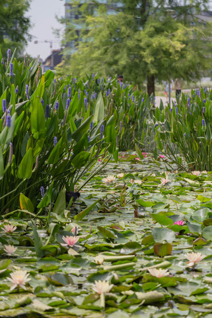 La natura (è)…state!